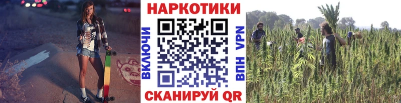 Сколько стоит Урень блэк спрут маркетплейс МЕФ СОЛЬ ГАШ Канабис АМФЕТАМИН