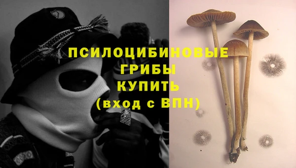 индика Армянск