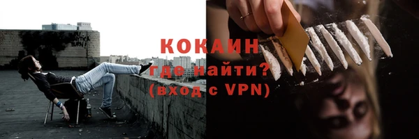 индика Армянск