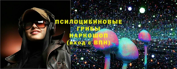 герыч Арсеньев