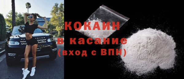 индика Армянск