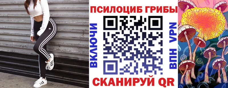 OMG зеркало  Урень  Галлюциногенные грибы Cubensis  где найти  